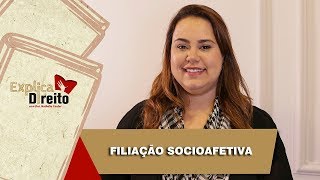 Explica Direito Filiação Socioafetiva  2019 [upl. by Nimaynib]