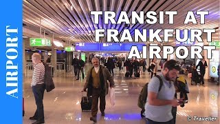 TRANSIT WALK AT FRANKFURT Airport FRA Terminal 1  Connection Flight Transfer Arriving amp Departing [upl. by Aser788]